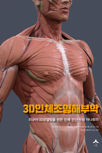 3D인체조형해부학 피규어-3D모델링을 위한 인체 전신.두상 아나토미